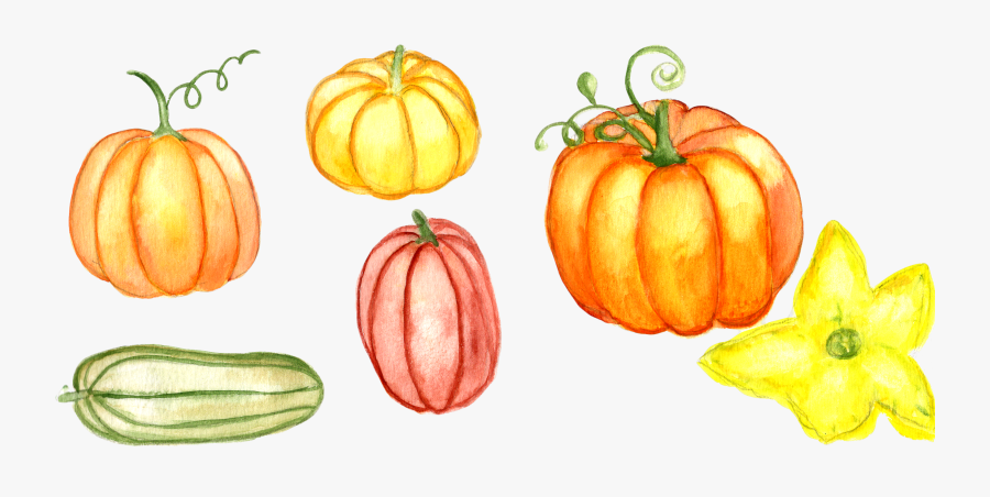 Watercolor Pumpkin Clipart Example Image - Pumpkin, Transparent Clipart