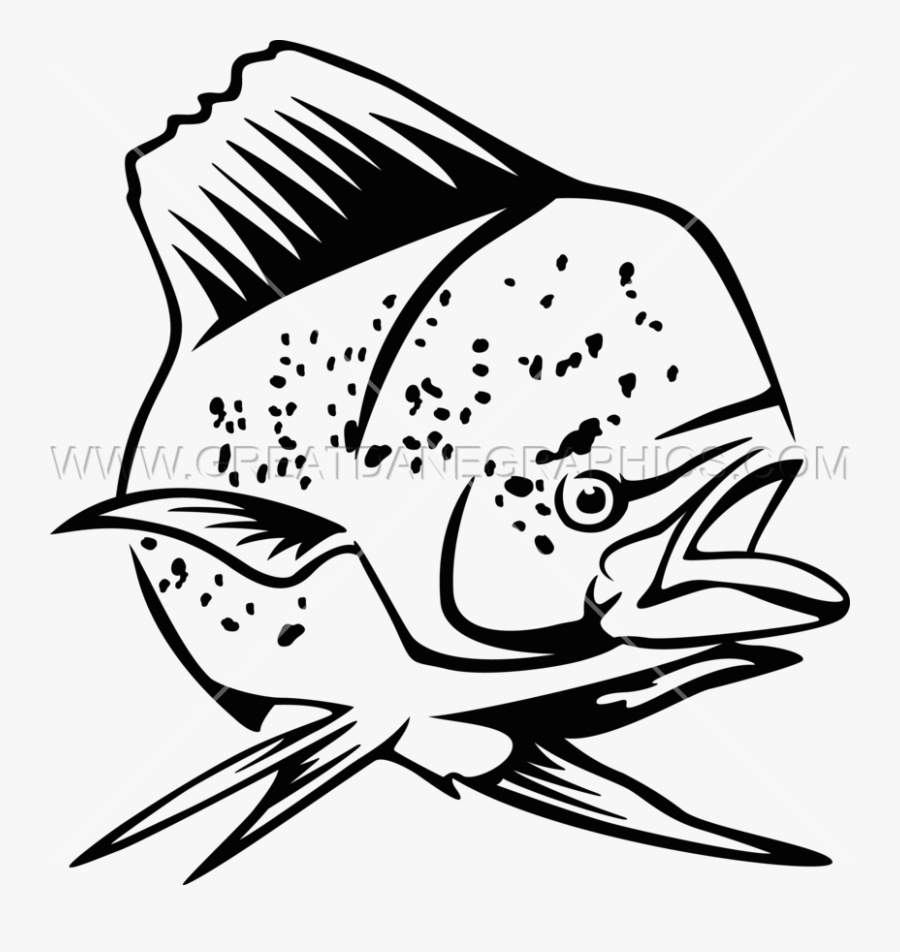 Clip Art Mahi Mahi Drawing, Transparent Clipart