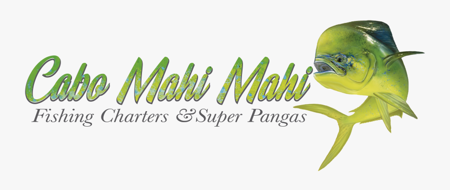 Cabo Mahi Mahi - Calligraphy, Transparent Clipart