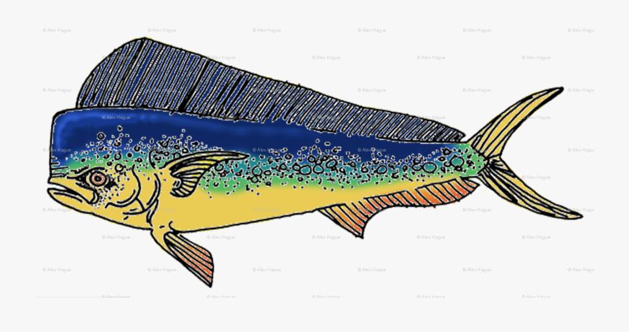 Sailfish, Transparent Clipart