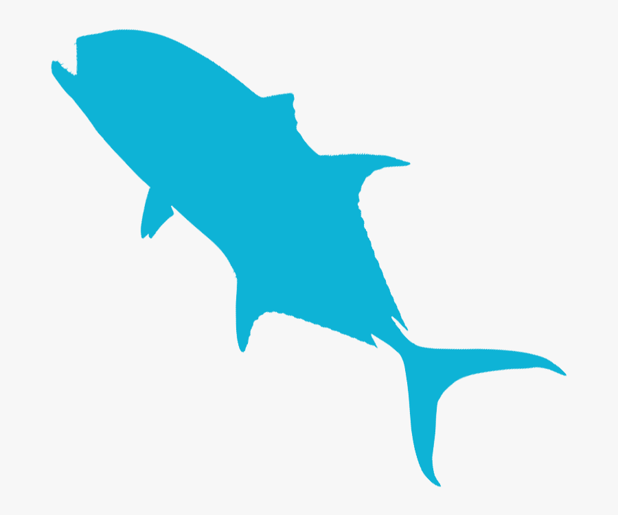 Jack Crevalle - Billfish, Transparent Clipart