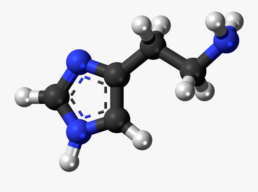 Histamine 3d Ball - Hydroxyethyl Methacrylate, Transparent Clipart