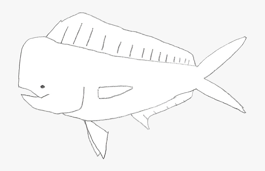 Sketch, Transparent Clipart