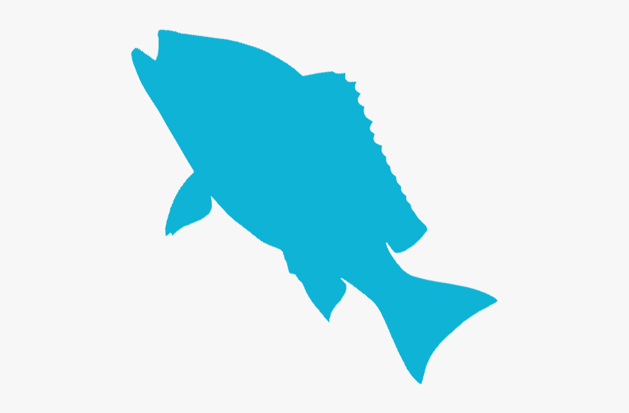 Red Snapper - Shark, Transparent Clipart