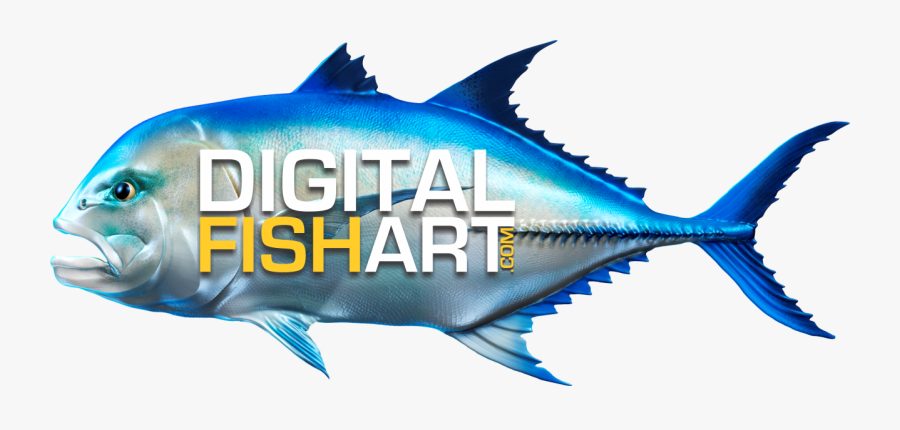 Fishing Decals For Boats, Transparent Clipart