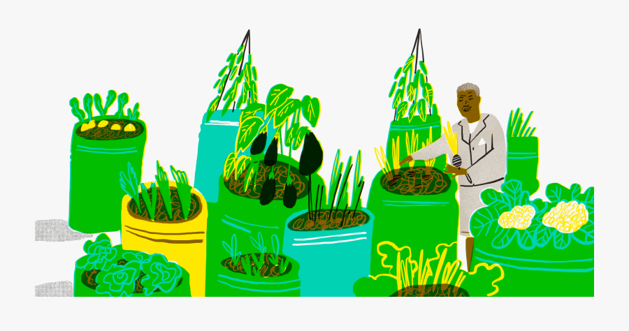 Illustration, Transparent Clipart