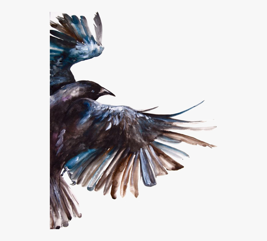 Clipart Freeuse Download Common Raven Bird Painting - Crow In The Sky, Transparent Clipart