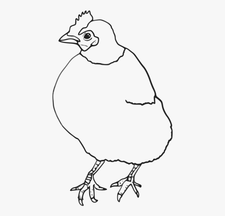 Hen Outline - Clip Art, Transparent Clipart