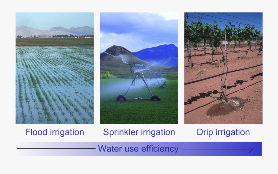 Department Of Earth Sciences - Drip Irrigation, Transparent Clipart