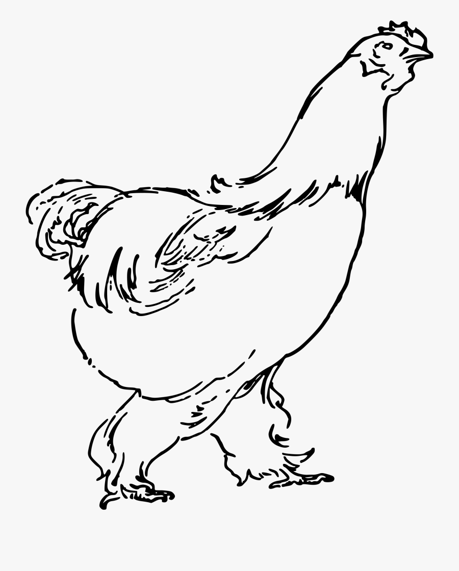 Big Image Png - Chicken, Transparent Clipart