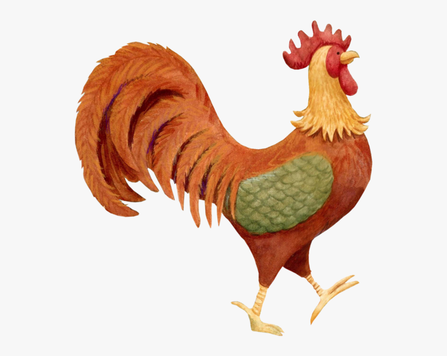 Hen Clipart Poule - Clipart Transparent Poule, Transparent Clipart