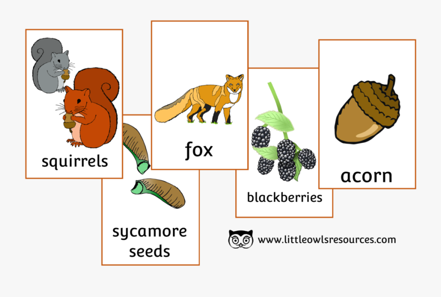 Autumn Picture Snap Cards, Transparent Clipart