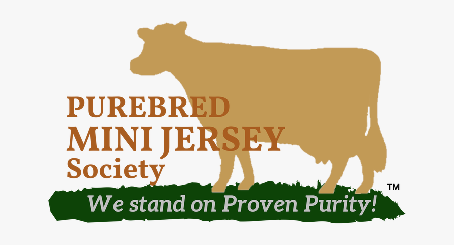 Dairy Cow, Transparent Clipart