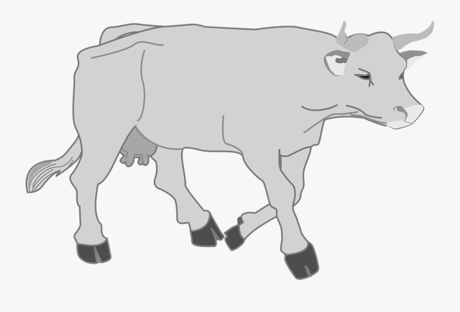Gray, Farm, Cow, Walking, Animal - Vector Transparent Background Cow Png, Transparent Clipart