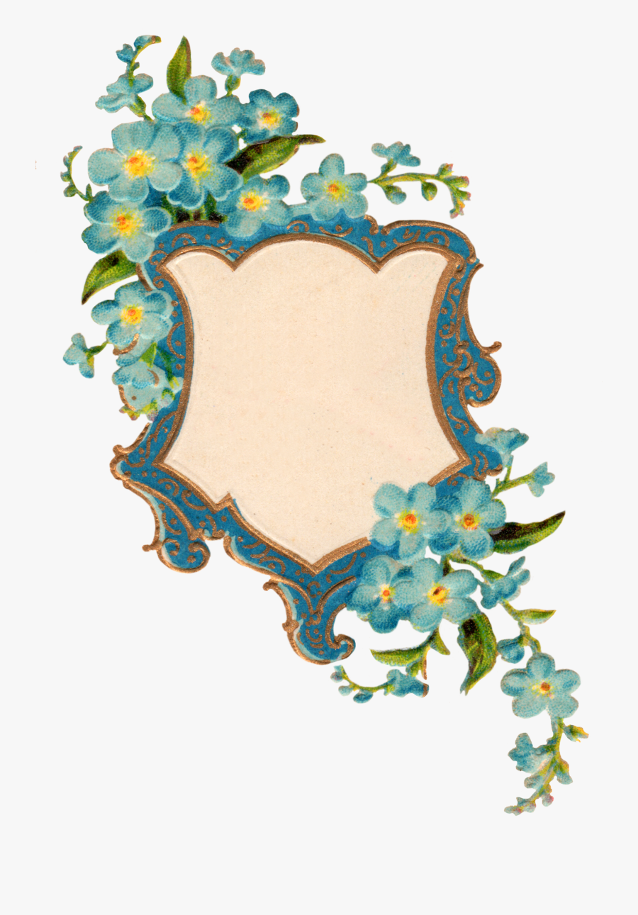 Forget Me Not Png Picture - Forget Me Not Photo Frame, Transparent Clipart
