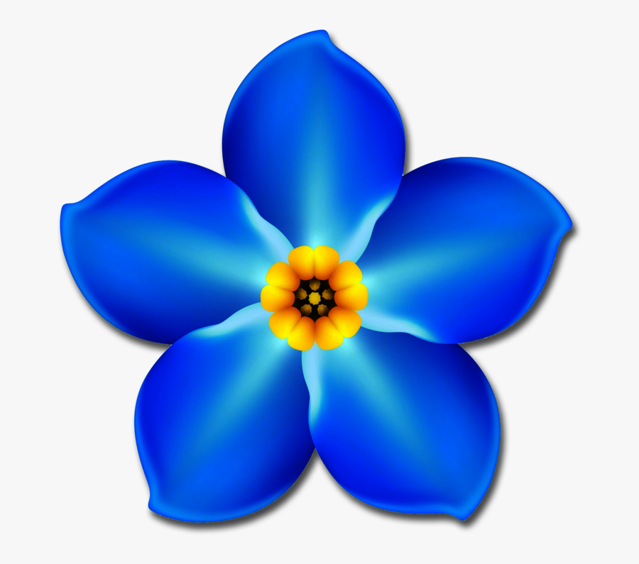 Forget Me Not Flower Png, Transparent Clipart
