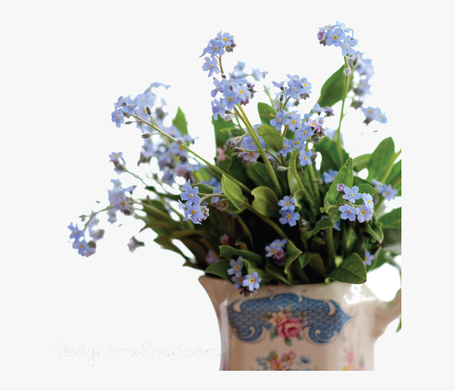 Download Forget Me Not Png Pic - Forget Me Not .png, Transparent Clipart
