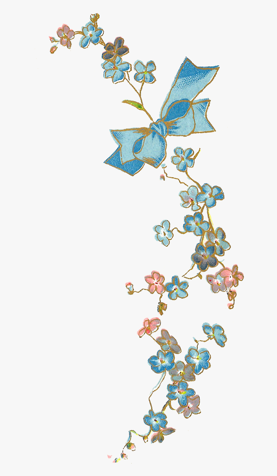 Pretty, Delicate Forget Me Nots In Bright Blue, Both - Blue Antiqueimages Blogspot, Transparent Clipart
