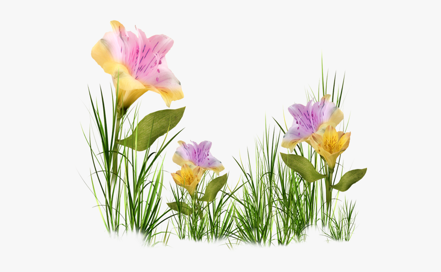 Clip Art Carrots And Flowers - Quotes About Greatness And Butterfly, Transparent Clipart