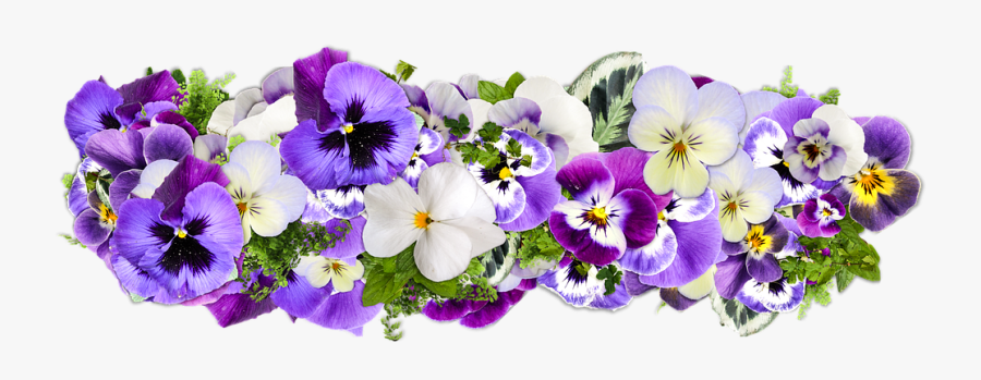 Pansy - Happy Mothers Day Star, Transparent Clipart