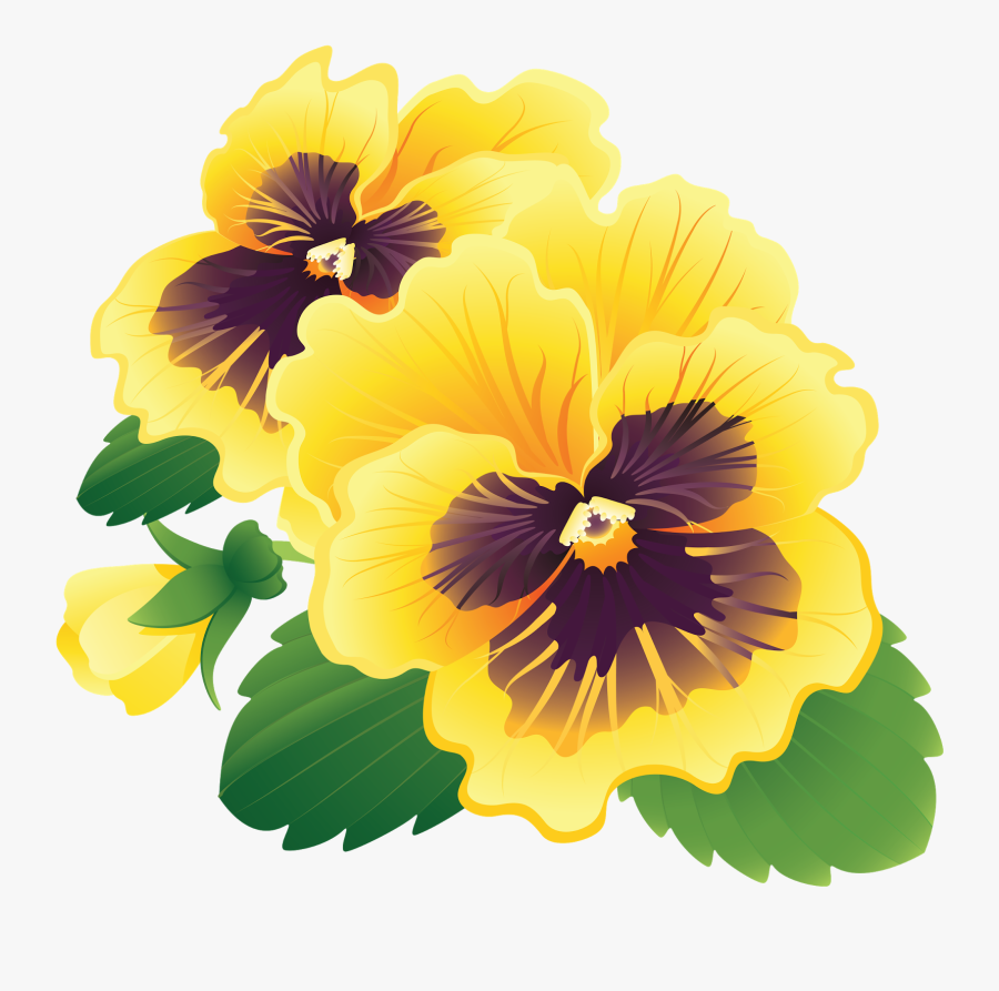 Pansy Clipart Transparent - Pansy Flowers Png Hd, Transparent Clipart