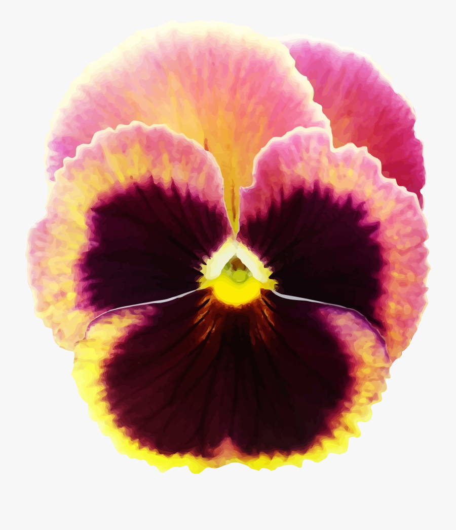 Plant,flower,seed Plant, Transparent Clipart