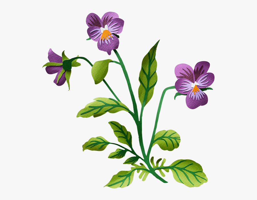 Pansy Transparent Background Clipart , Png Download - Transparent Background Clip Art, Transparent Clipart