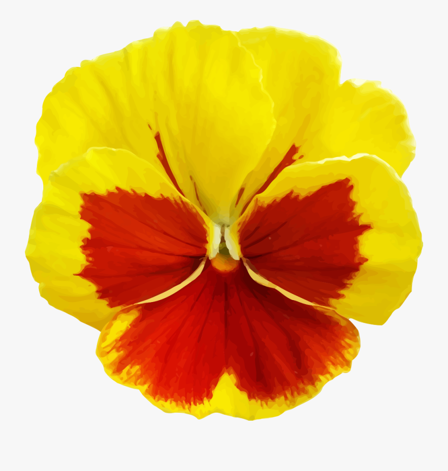 Yellow Pansy Flower Png, Transparent Clipart