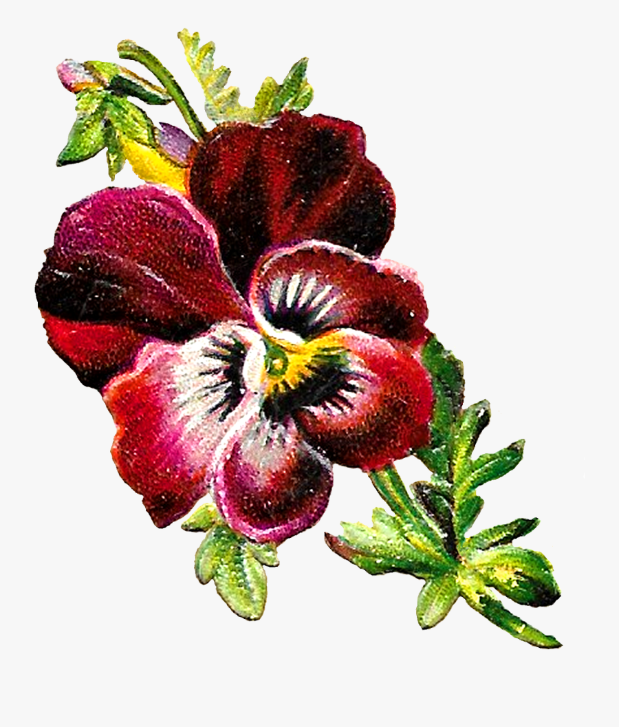 Flower, Transparent Clipart