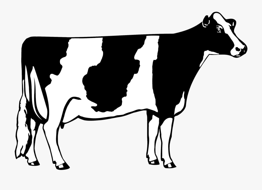 Transparent Cow Birthday Clipart - Dairy Cow Clipart Black And White, Transparent Clipart