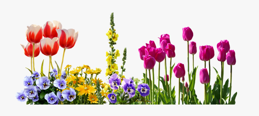 Spring Flowers Png, Transparent Clipart