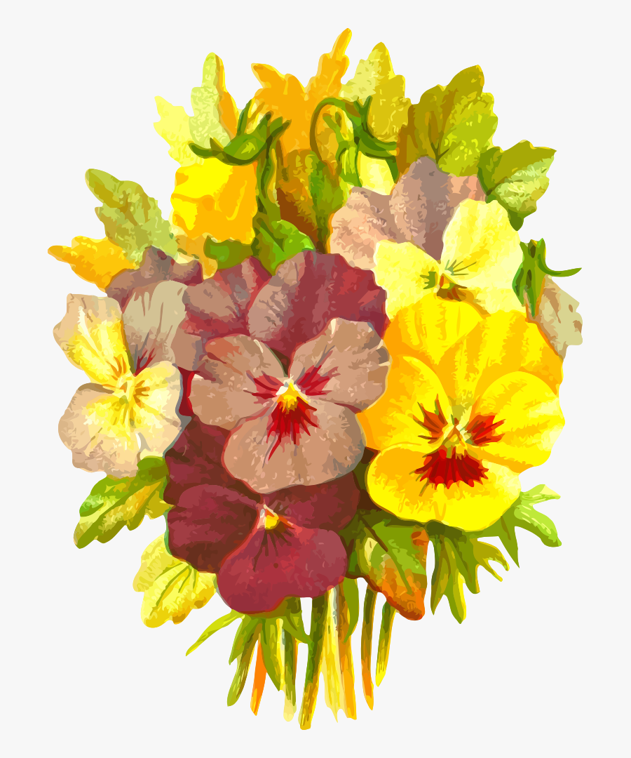 Vector Graphics, Transparent Clipart