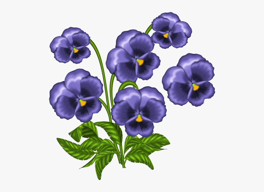 Transparent Pansy Png - African Violet Flower Clip Art, Transparent Clipart