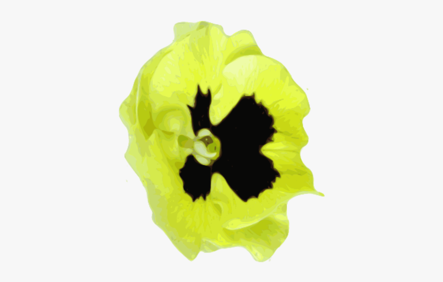 Corn Poppy, Transparent Clipart