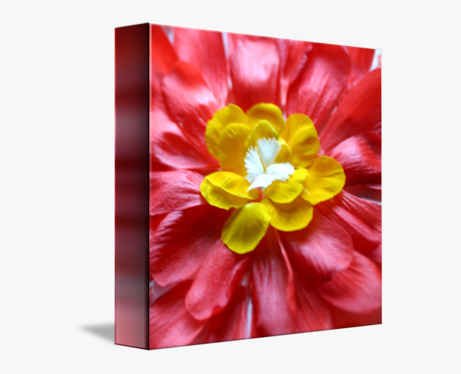 Clip Art Mandala Blessing Pansy Turkscap - Begonia, Transparent Clipart