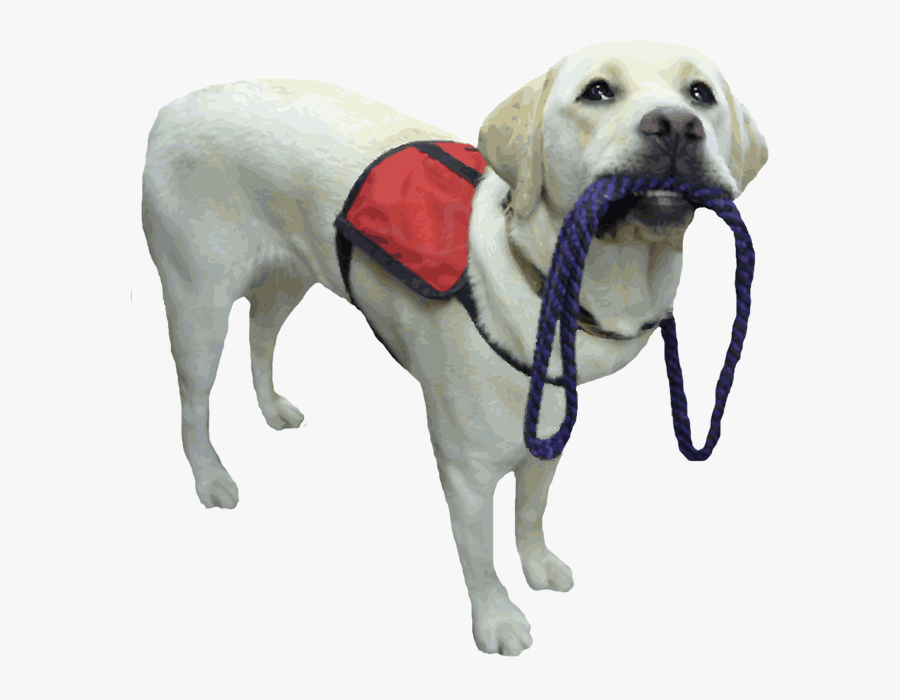 Website Upgrade - Service Dog Transparent Background, Transparent Clipart