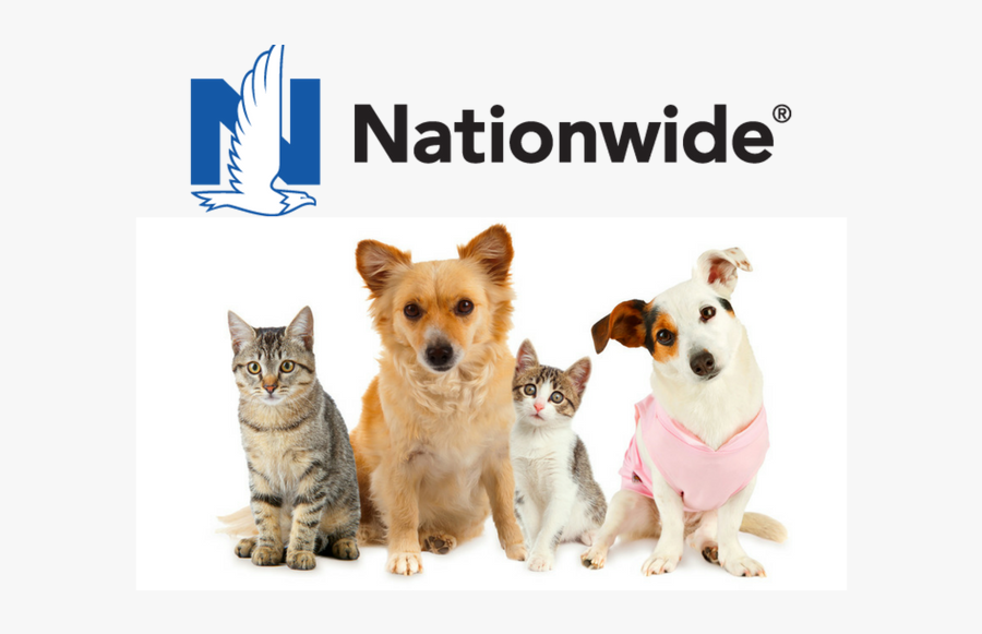 Nationwide Pet Insurance Review - Dog And Cat, Transparent Clipart