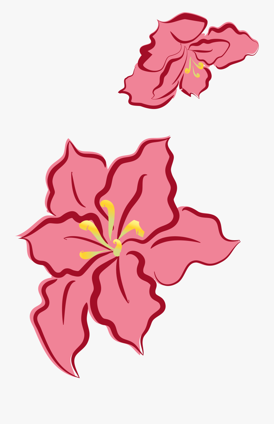 Transparent Christmas Flower Clipart - Chinese Hibiscus, Transparent Clipart