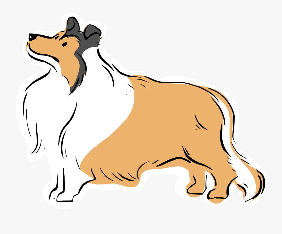 Dog Sighting Alert Shaggy Tan/white Collie Mix Seen - Dog, Transparent Clipart