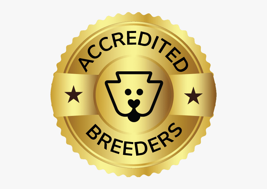 Deputy Jake Keltner, Transparent Clipart