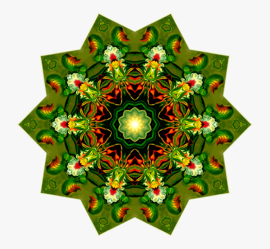 Plant,christmas Ornament,flower - Craft, Transparent Clipart