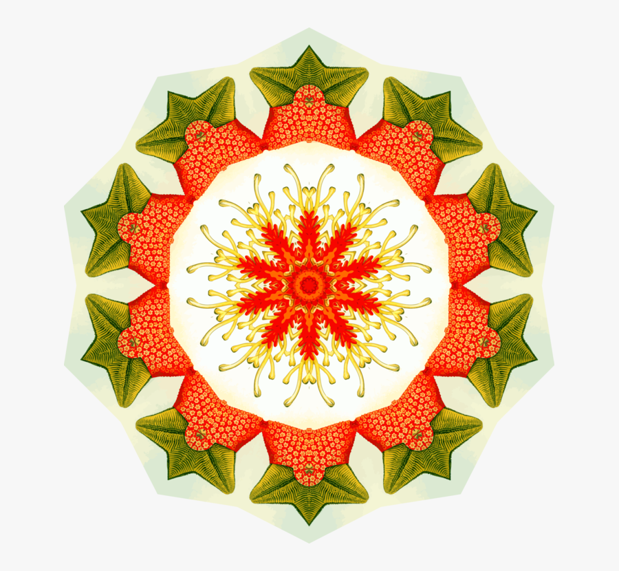 Christmas Ornament,flower,floral Design - Bicycle, Transparent Clipart