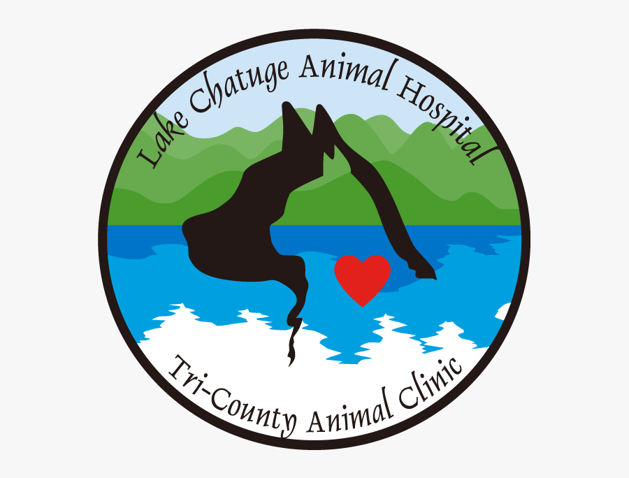 Fire Arrow, Transparent Clipart