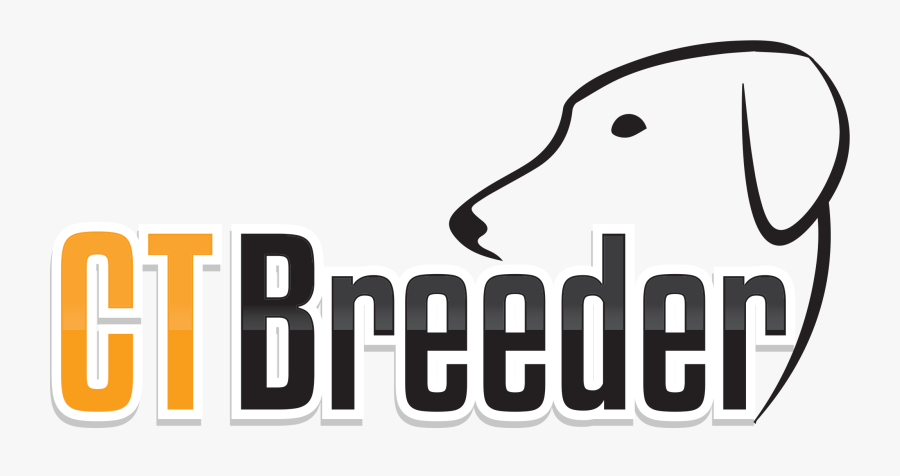 Graphic Design, Transparent Clipart