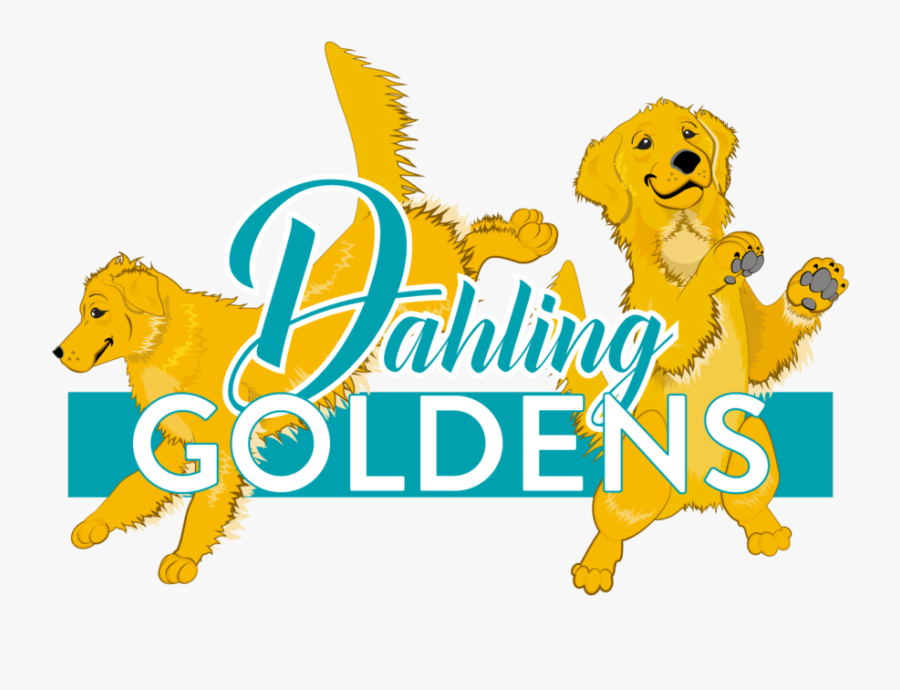 Dahling Goldens Logo - Cartoon, Transparent Clipart