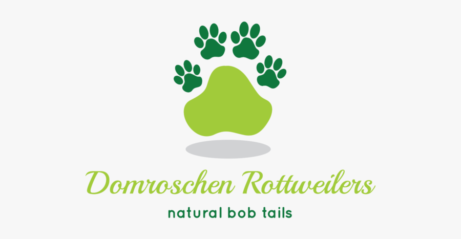 Graphic Design, Transparent Clipart