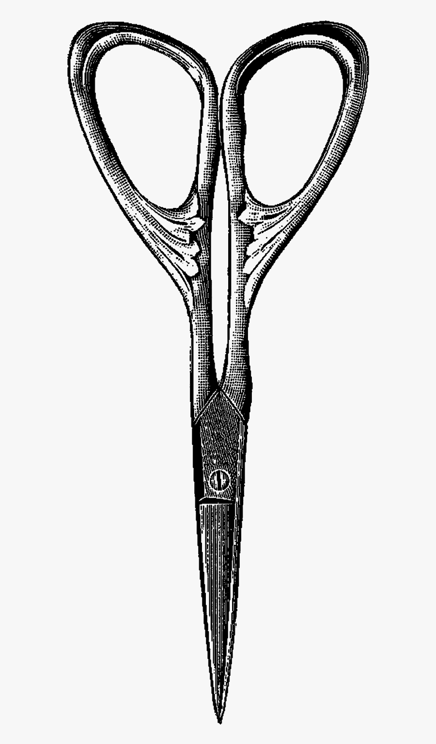 Any Sewing Project Would Be Much More Fun Using A Vintage - Sketch, Transparent Clipart