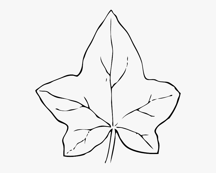 Clip Art Image Library Download Techflourish, Transparent Clipart