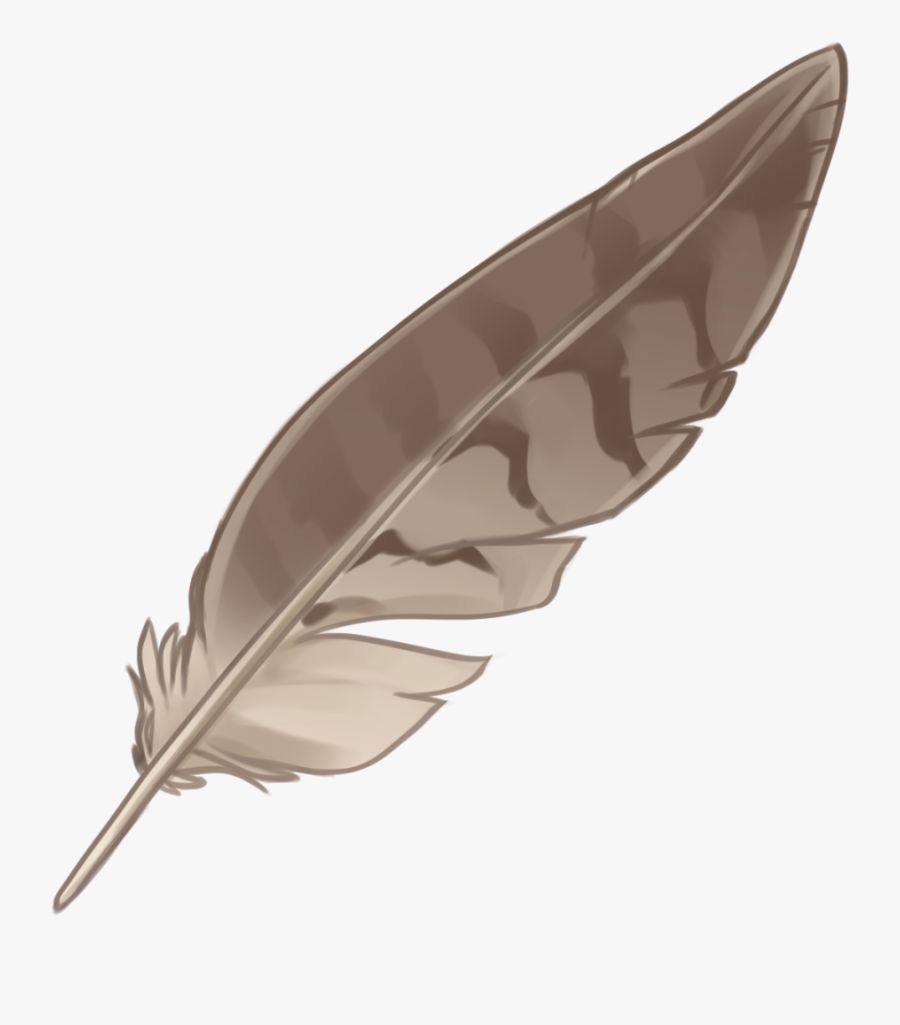 Eagle Feather Law Portable Network Graphics Native - Indian Feather Png, Transparent Clipart