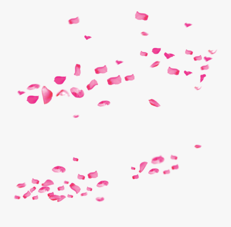 Pink Rose Valentines Drift Petals International Womens - Flower Background For Photoshop, Transparent Clipart